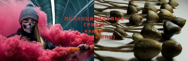 бошки Снежногорск