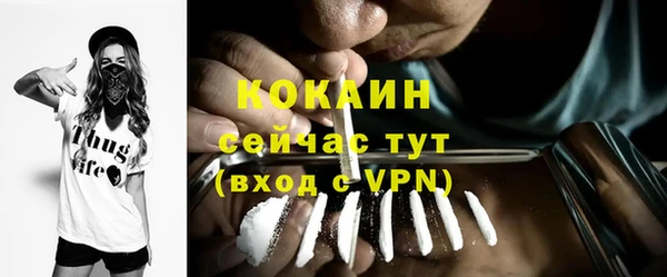 бошки Снежногорск