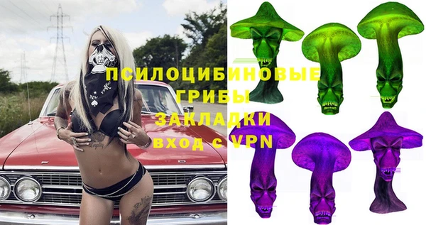 бошки Снежногорск