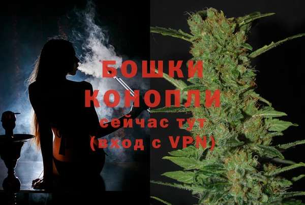 гидропоника Снежинск