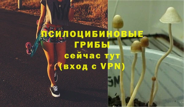 не бодяженный Слюдянка