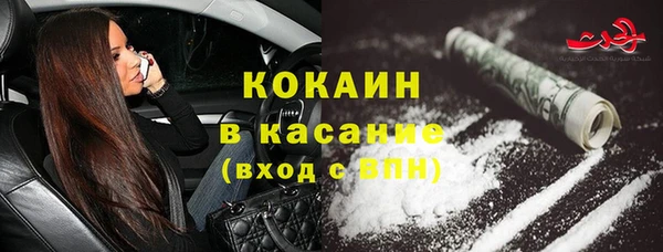 бошки Снежногорск