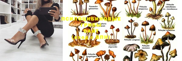не бодяженный Слюдянка