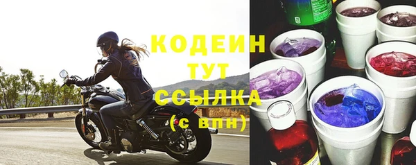 бошки Снежногорск