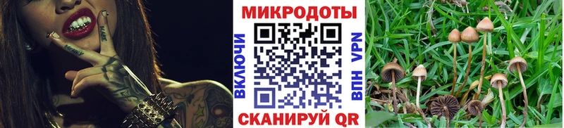 Купить где  Татарск  Псилоцибиновые грибы Cubensis 